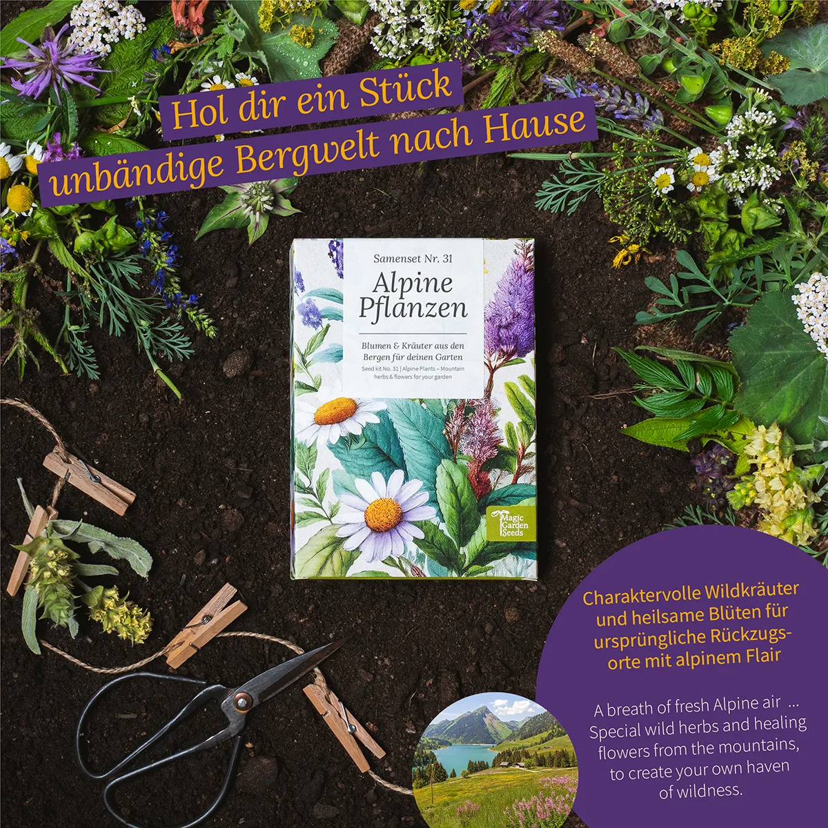 Alpine Pflanzen: Blumen und Kräuter aus den Bergen - Samenset Nr.31