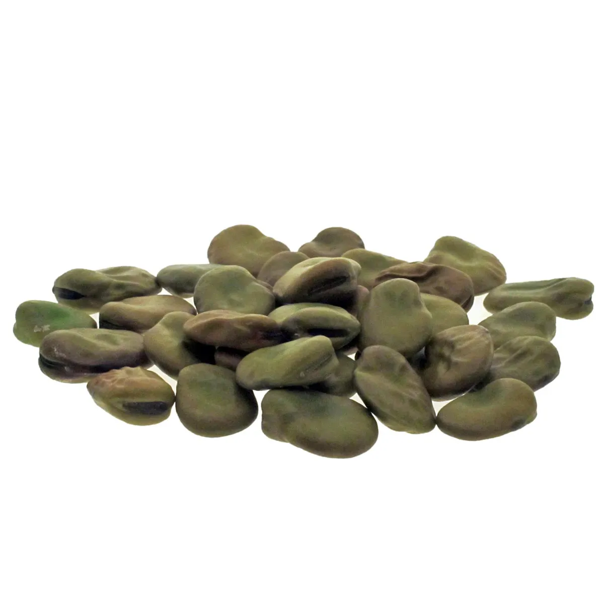 Puffbohne / Dicke Bohne 'Hangdown' (Vicia faba) Bio Saatgut