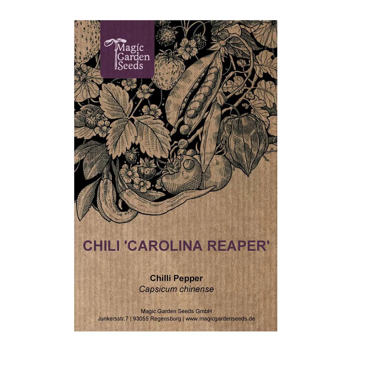 Chili 'Carolina Reaper' (Capsicum chinense)