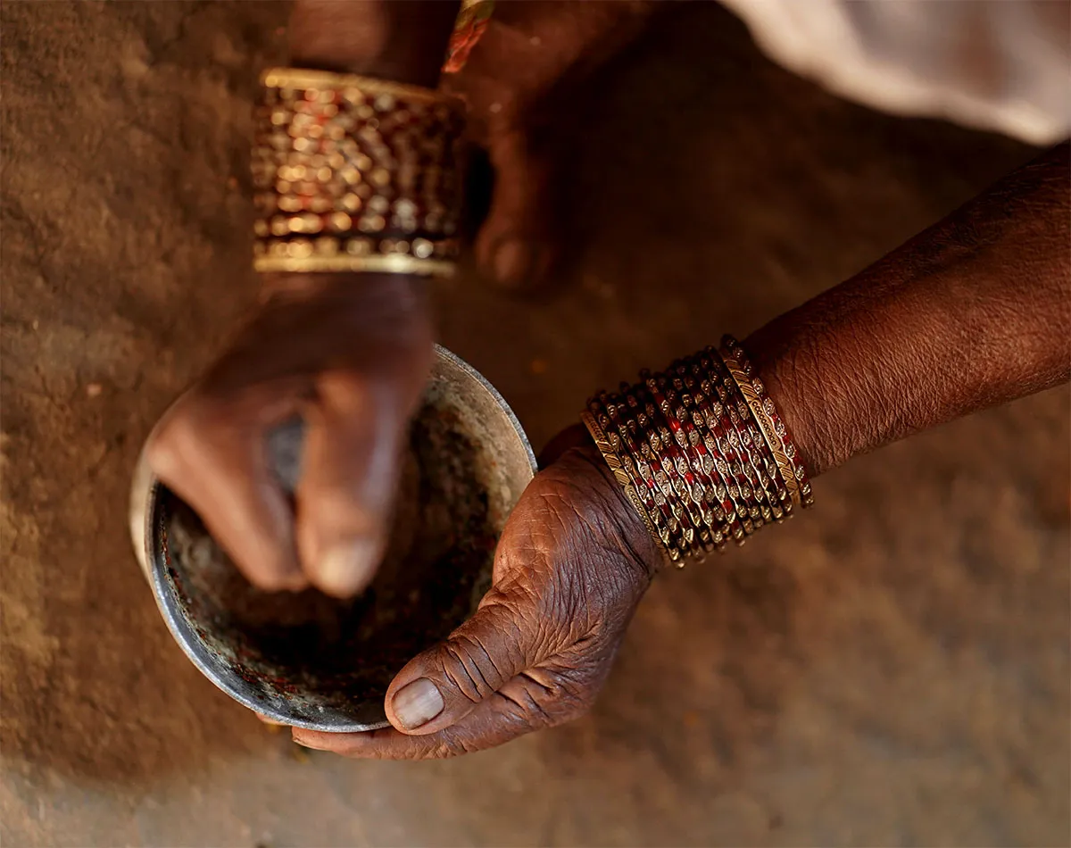 Ayurveda-Pflanzen