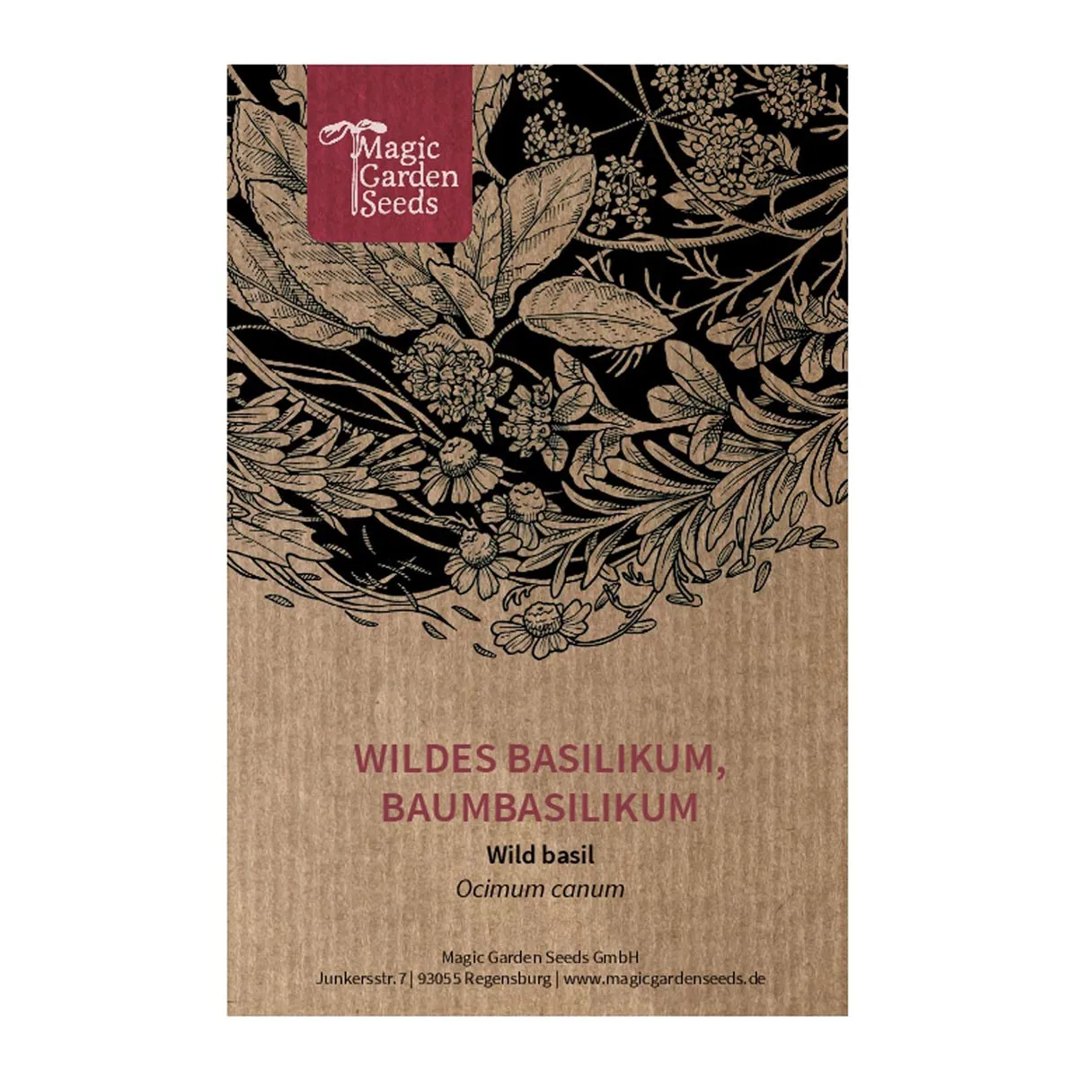 Wildes Basilikum / Baumbasilikum (Ocimum canum) Samen