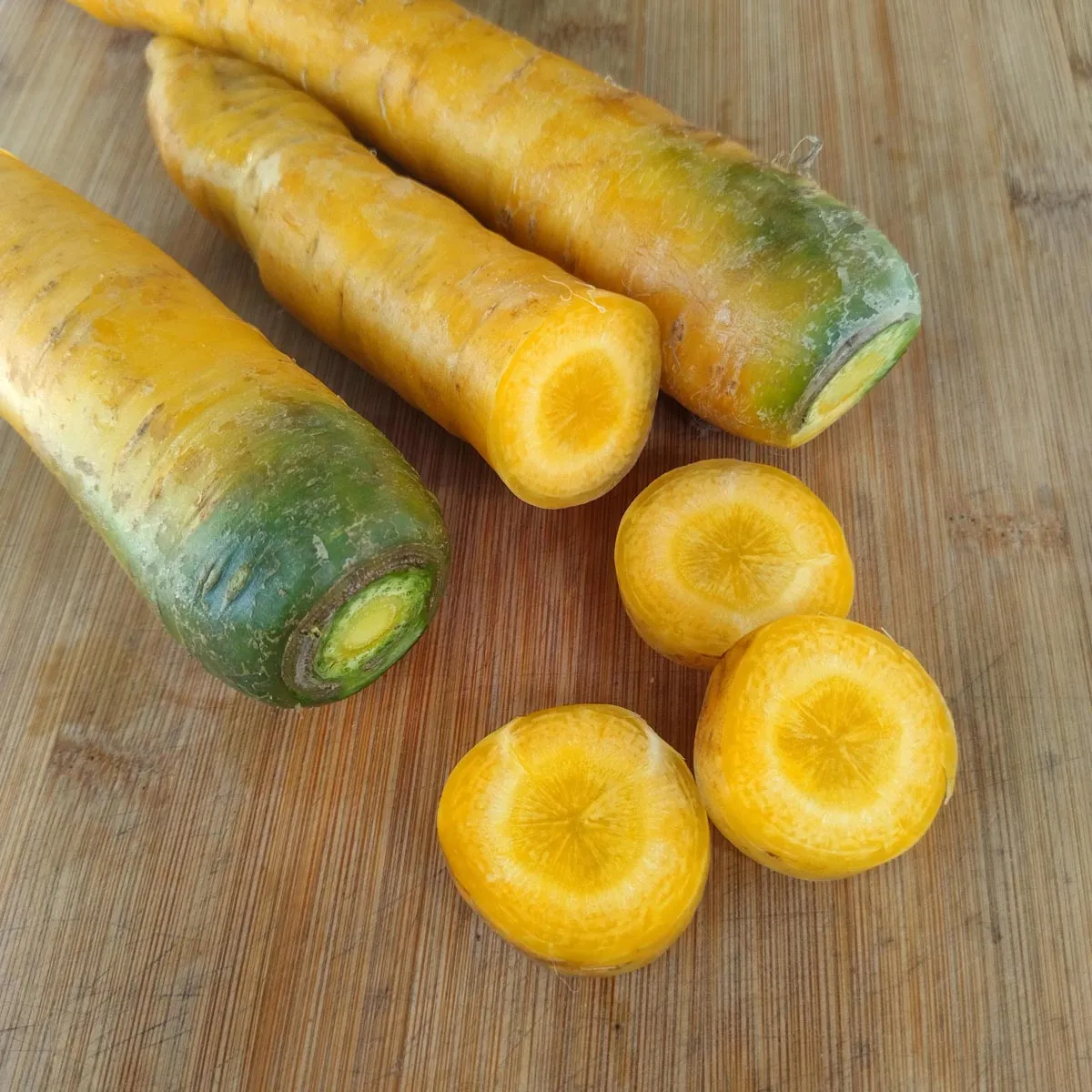 Gelbe Möhre 'Jaune Du Doubs' (Daucus carota) Samen