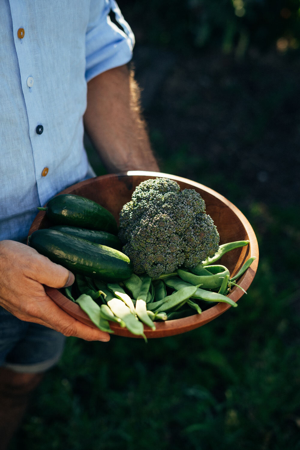 Holzschale mit frisch geerntetem Brokkoli, Gurken und grünen Bohnen in den Händen eines Gärtners
