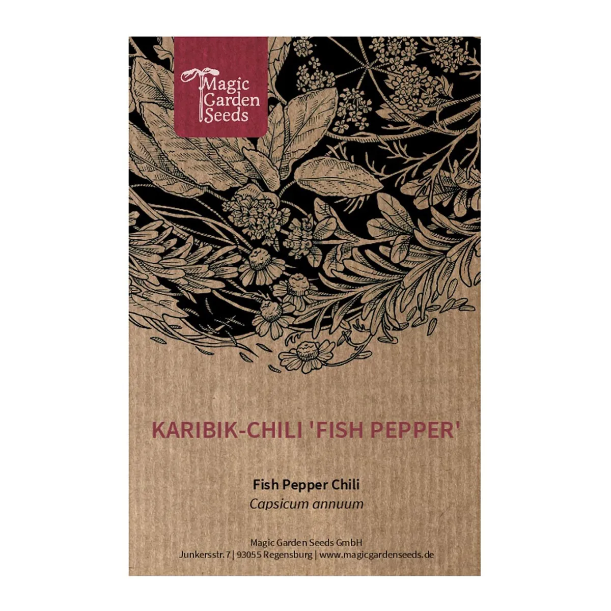 Karibik-Chili 'Fish Pepper' (Capsicum annuum) Samen