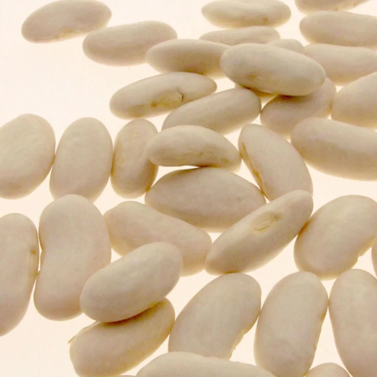 Stangenbohne 'Neckarkönigin' (Phaseolus vulgaris) Samen