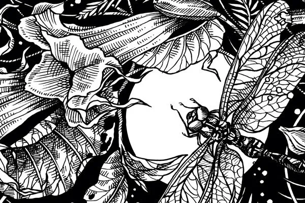 Illustration eines Nachtfalters zwischen Nachtblühern