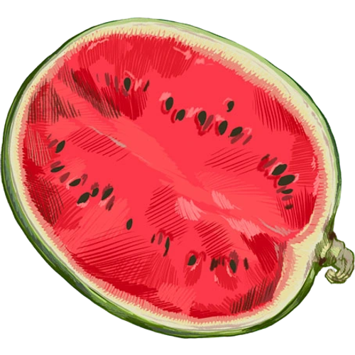 Melonen