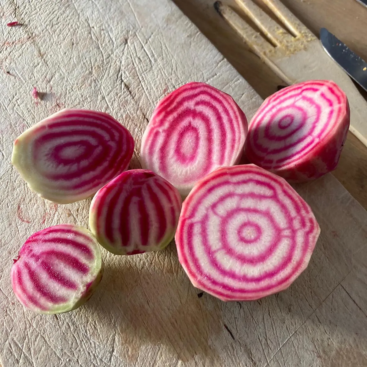 Rote Bete 'Tonda di Chioggia' (Beta vulgaris) Bio Saatgut