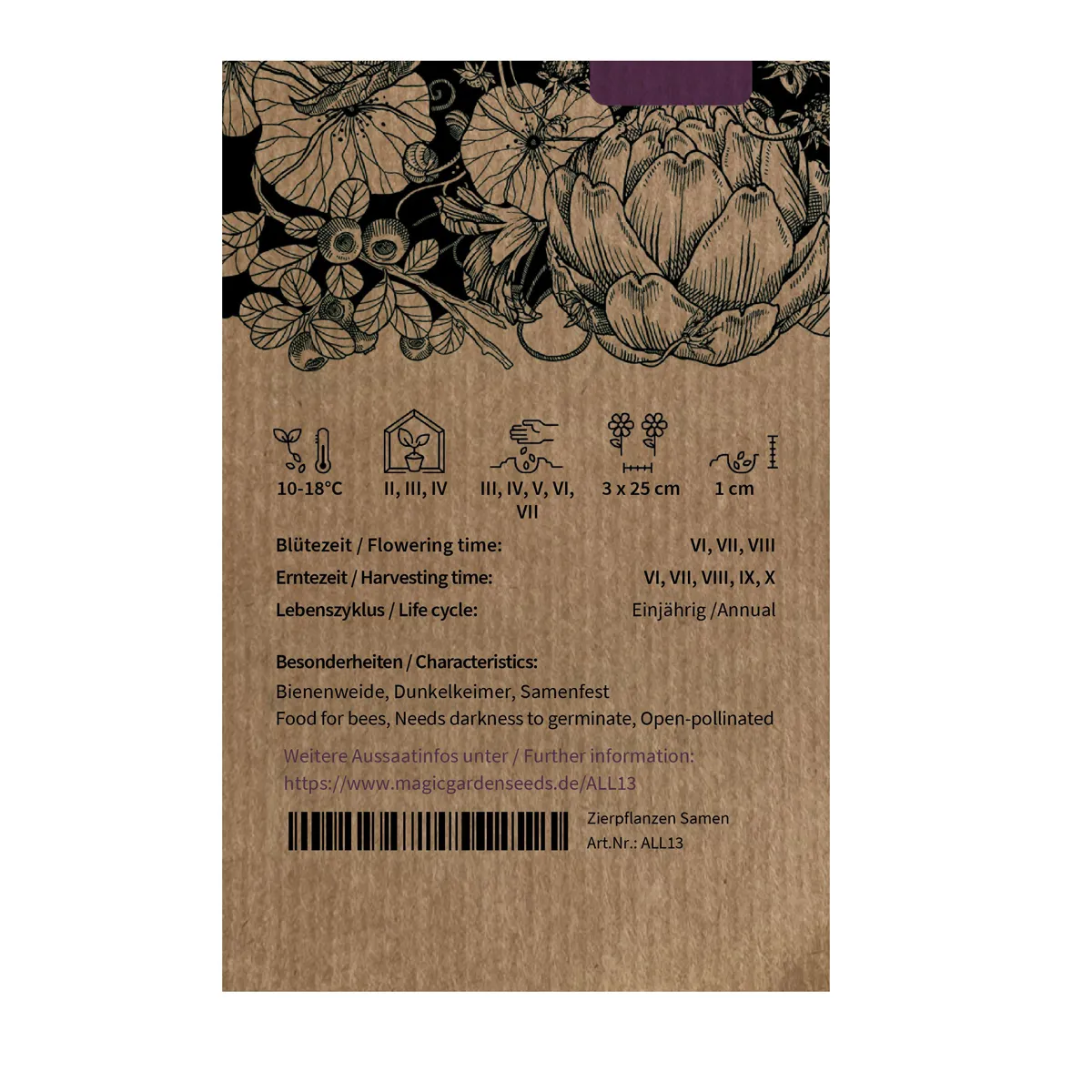 Zwiebel 'De Barletta' (Allium cepa) Samen