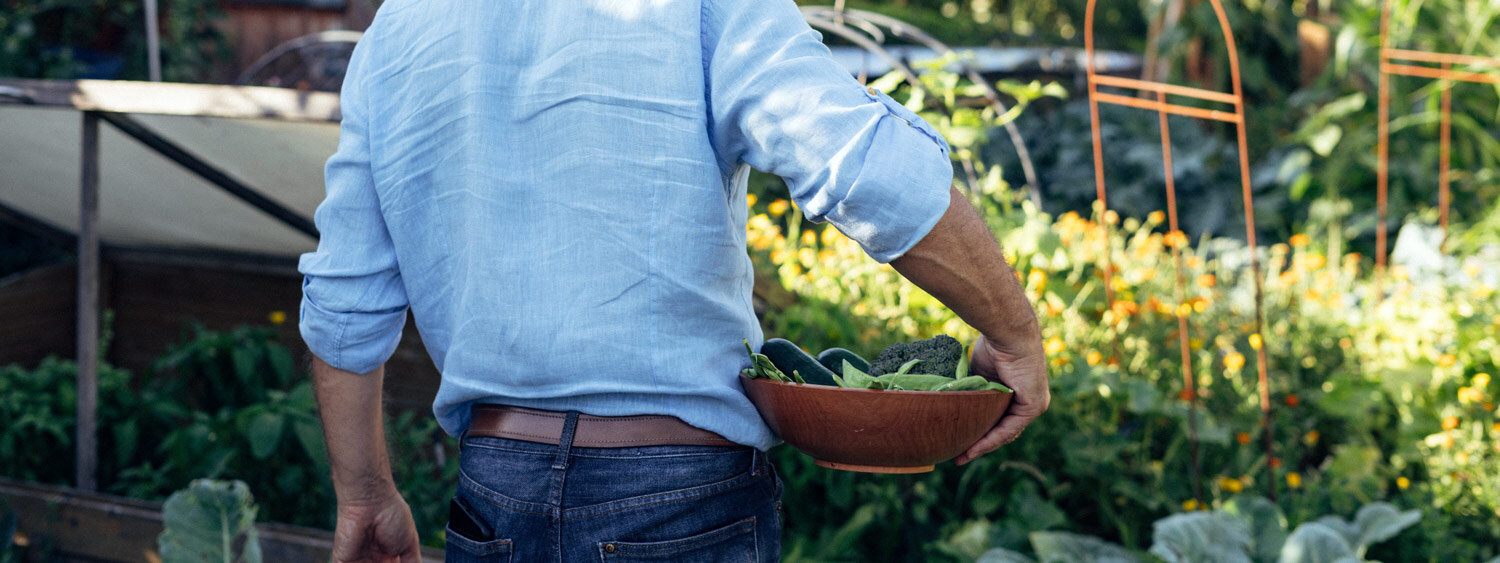 Gärtner trägt eine Schale mit frisch geerntetem Blattgemüse durch den Gemüsegarten