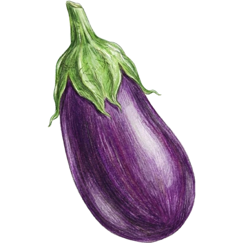Auberginen