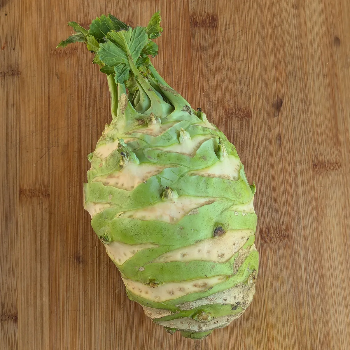 Kohlrabi 'Superschmelz' (Brassica oleracea var. gongylodes) Bio Saatgut