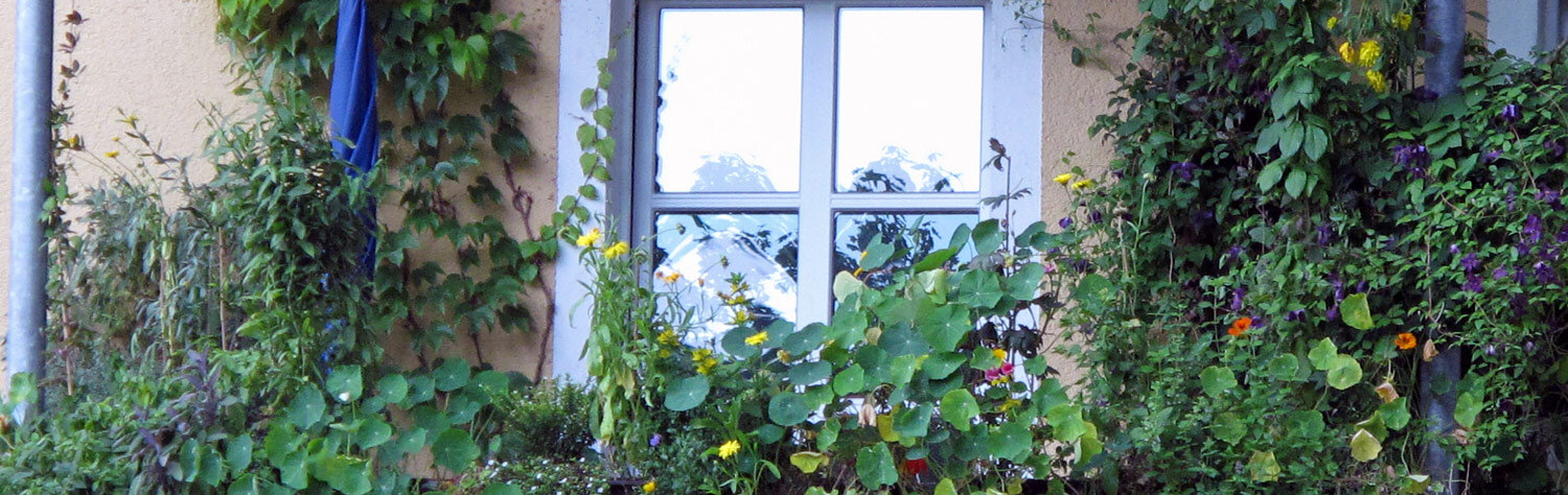 Urbane Wildnis auf dem Balkon