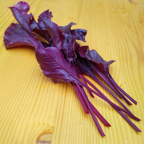 Rote Babyleaf-Blätter mit roten Stielen auf einem Holztisch