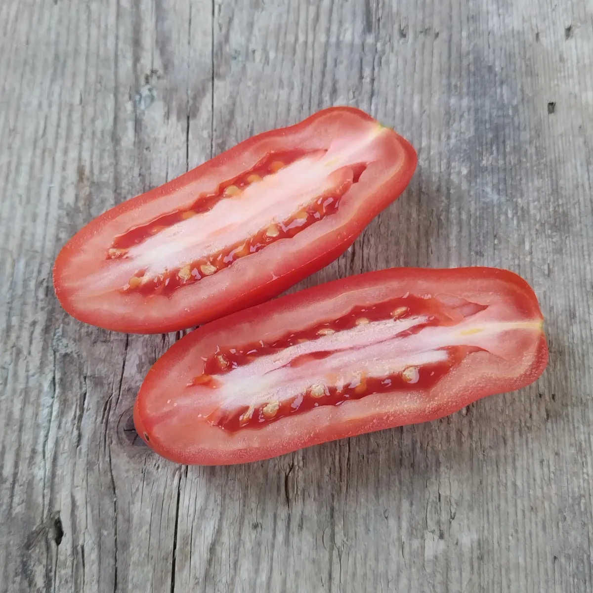 Tomate 'San Marzano' (Solanum lycopersicum) Bio Saatgut