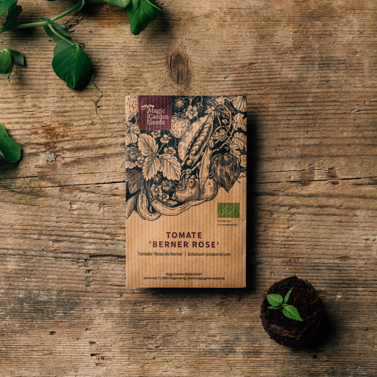 Vorderseite eines Samentütchens mit Illustration, Bio-Siegel und Namen: Tomate 'Berner Rose' (Solanum lycopersicum)
