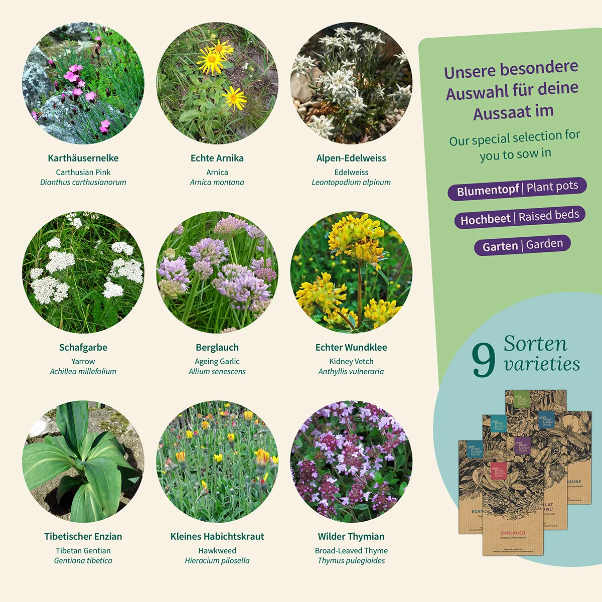Alpine Pflanzen: Blumen und Kräuter aus den Bergen - Samenset Nr.31