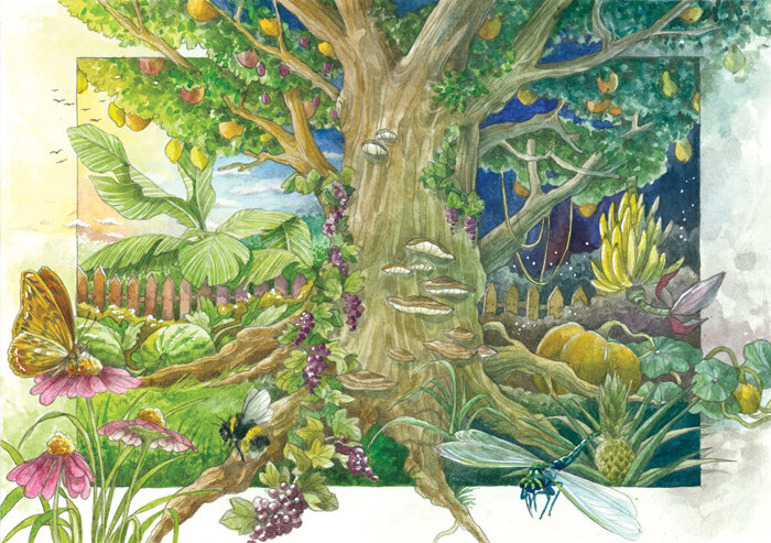 Illustration eines magischen Gartens: Baum mit Früchten unter Tag- und Nachthimmel, Blumen, Hummel und Libelle