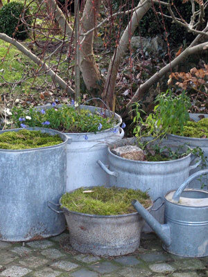 Alte Zinkwannen und Zinkeimer als Pflanzkübel mit Moos und Frühlingsblumen, daneben eine Gießkanne
