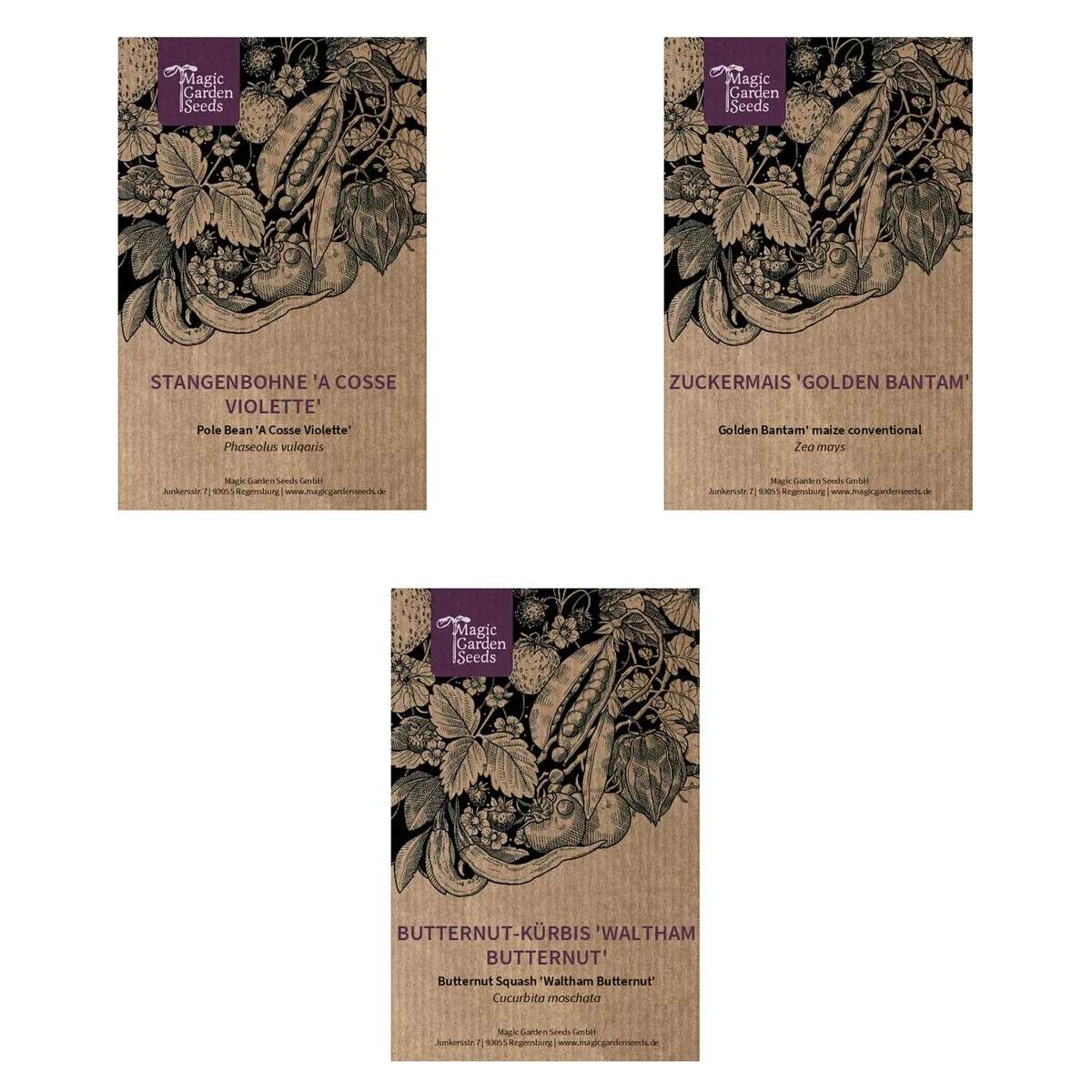 Die 3 Schwestern - Samen-Geschenkset