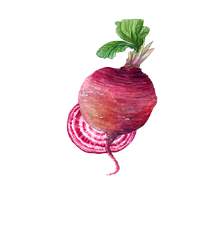 Gemüsesamen