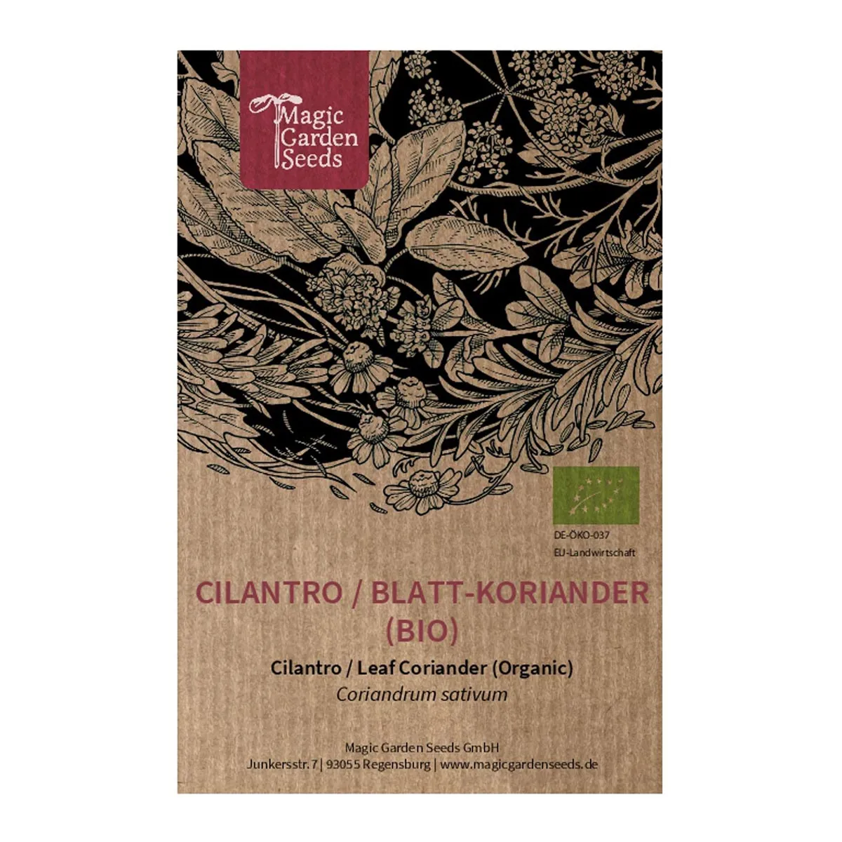Cilantro / Blatt-Koriander 'Caribe' (Coriandrum sativum) Bio Saatgut