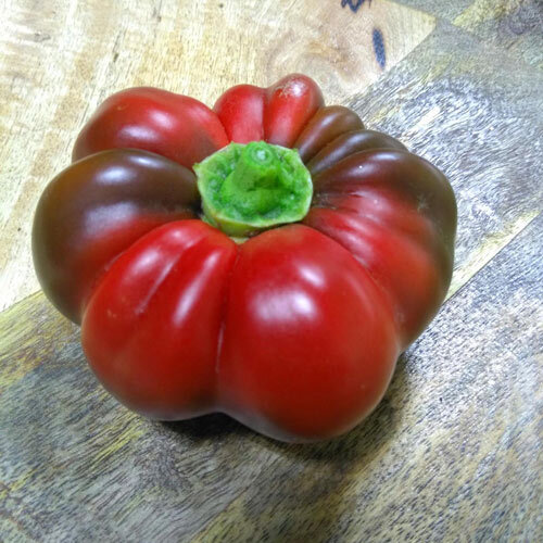 Rote, flachrunde und gerippte Tomatenpaprika auf einem Holzbrett