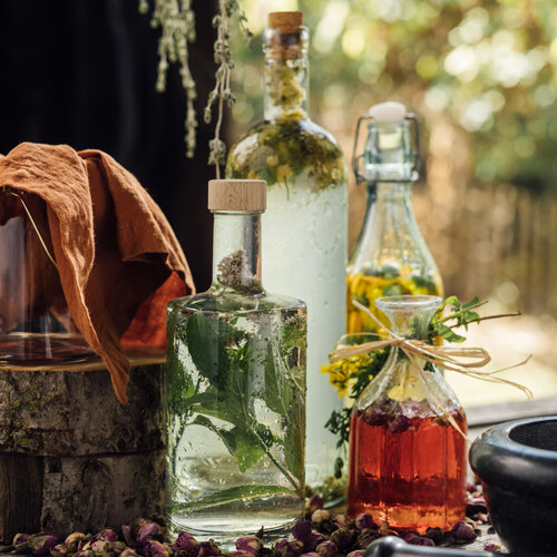 Kraeuter eingelegt in Essig und Öl zum Haltbarmachen und Aromatisieren