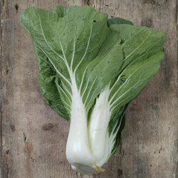 Pak Choi