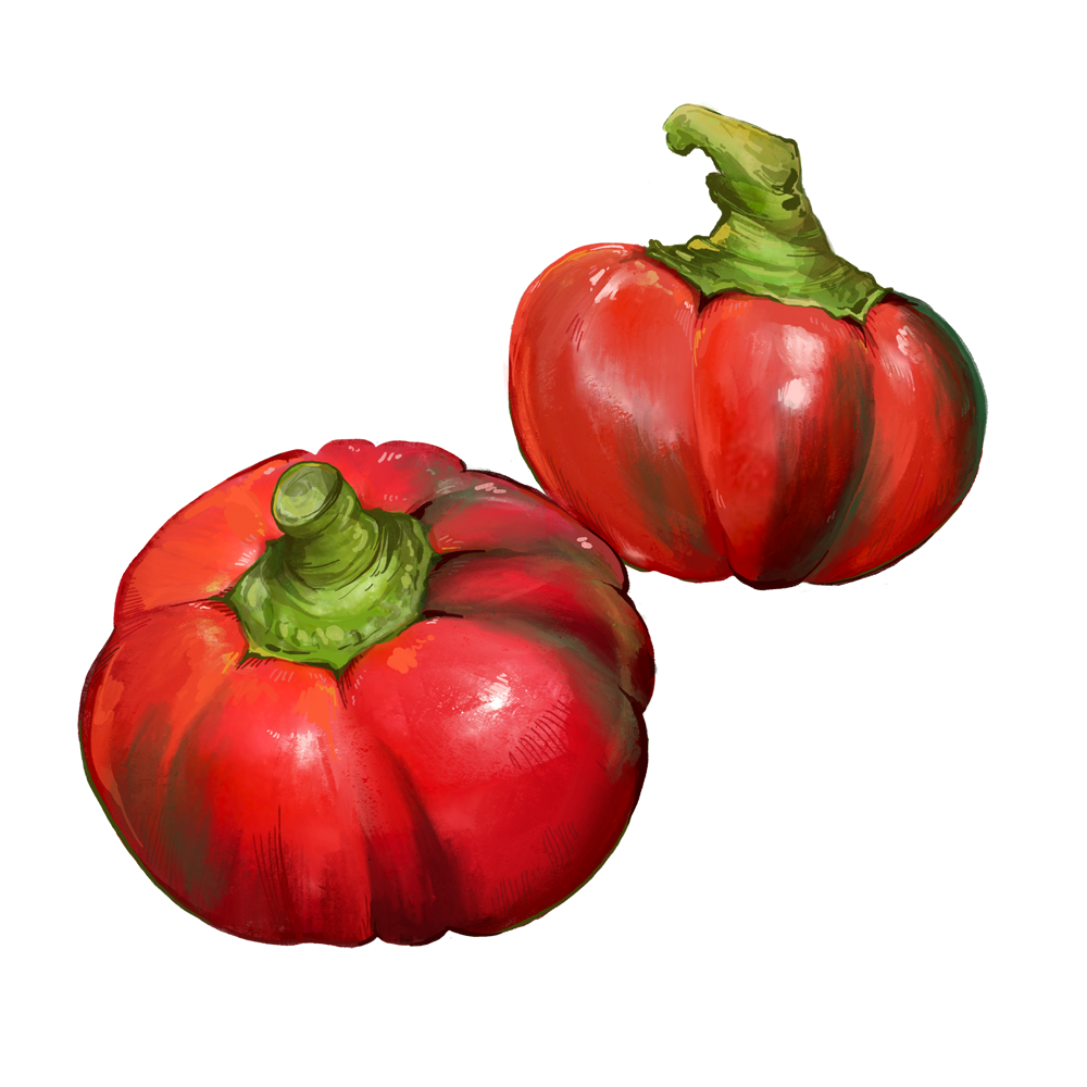 Tomaten-Paprika