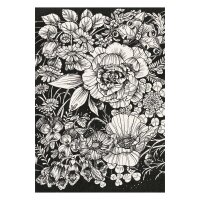 Grußkartenset - Magic Garden Seeds Highlights - 10 Postkarten mit dem Motiv: Schönes aus der Welt der Blumen