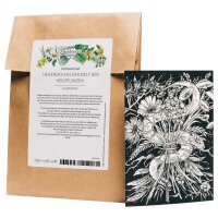 Grußkartenset - Magic Garden Seeds Highlights - 10...