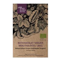 Bataviasalat Grazer Krauthäuptel (Lactuca sativa)...