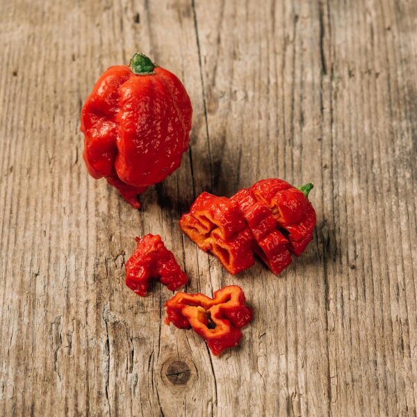 Chili Carolina Reaper (Capsicum chinense) Samen