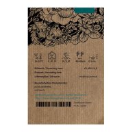 Rosa Schmuckkörbchen / Cosmea Pink (Cosmos bipinnatus) Samen