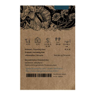 Turkmenische Alraune (Mandragora turcomanica) Samen