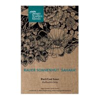 Rauer Garten-Sonnenhut Sahara (Rudbeckia hirta) Samen