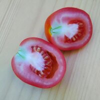 Tomate De Berao (Solanum lycopersicum) Bio Saatgut