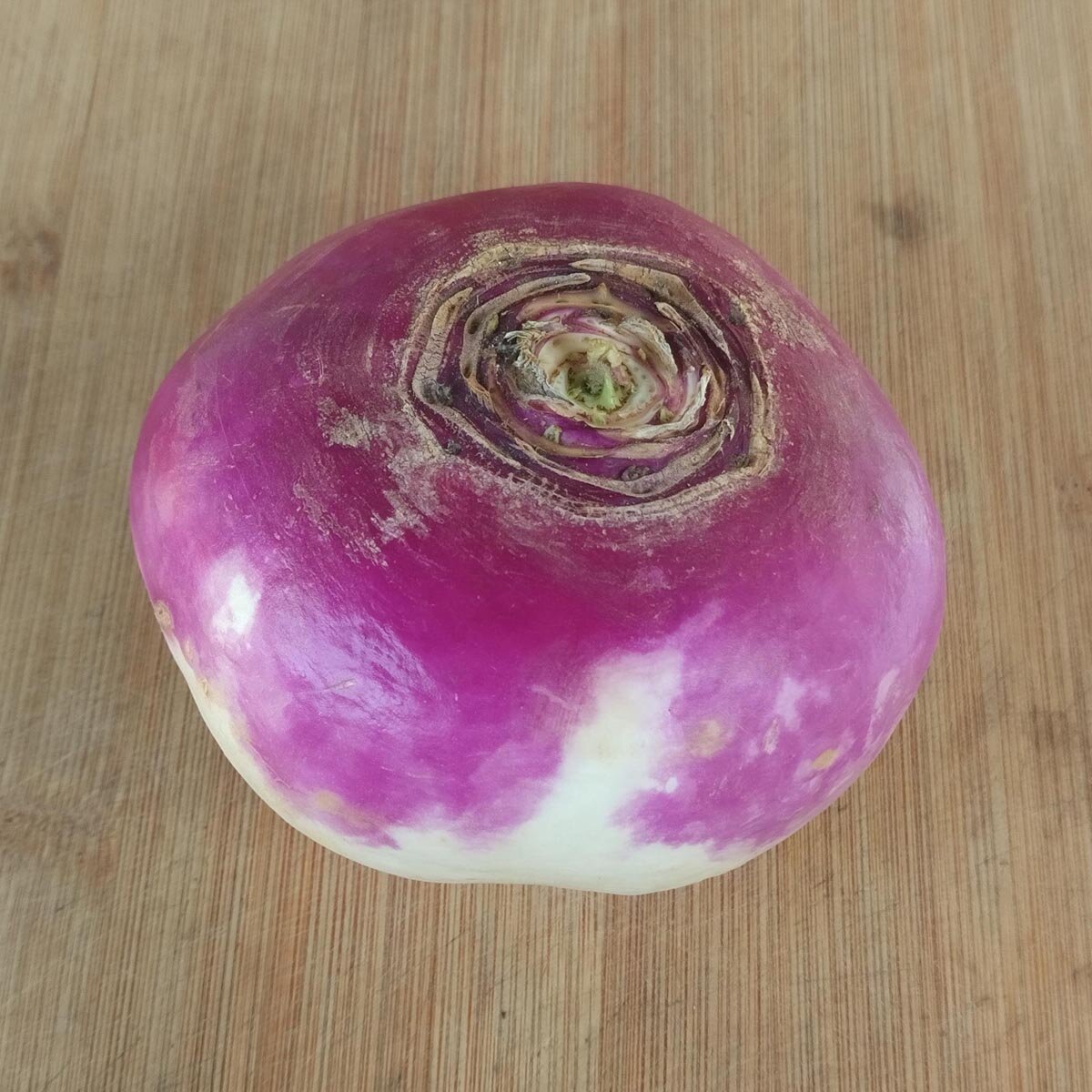 Herbstrüben 'Runde, Weiße, Rotköpfige' (Brassica rapa ssp. rapa) Samen