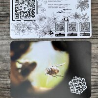 Flower Snack Pack - BEE STEEZ (Bio)