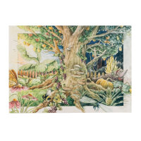 Unsere Pflanzenlieblinge: Wildblumen für Blumenfans (Bio) - Samenset