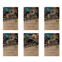 Unsere Pflanzenlieblinge: Heilpflanzen & Räucherkräuter für Heilkundige (Bio) - Samenset