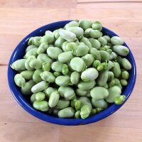 Puffbohne / Dicke Bohne Hangdown Grünkernig (Vicia faba) Samen