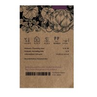 Wirsing Vertus (Brassica oleracea convar. capitata var. sabauda L.) Samen