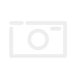 Schwarzwurzeln Einjährige Riesen (Scorzonera hispanica)