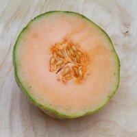 Cantaloupe Zuckermelone Charentais (Cucumis melo) Samen