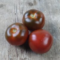 Schwarze Tomate Black Russian (Solanum lycopersicum)