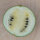 Wassermelone Cream of Saskatchewan (Citrullus lanatus) Samen
