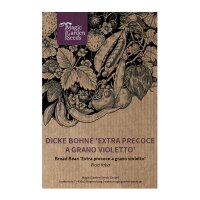 Dicke Bohne Extra precoce a grano violetto (Vicia faba) Samen