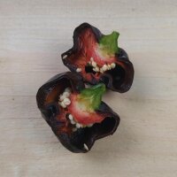 Mexikanischer Chili Chilhuacle Negro (Capsicum annuum) Samen